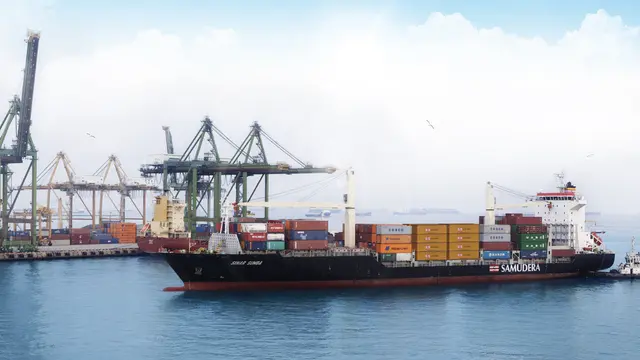 Misteri Anomali Harga SMDR, Bearish Setelah Bullish